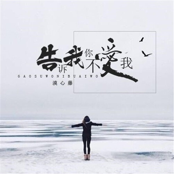告诉我你不爱我 - Single