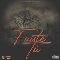 Fuiste Tú (2021 Remasterizado) [feat. Alrho WHR] - Single - Diego FA