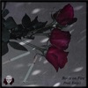 Roses on Fire - Single