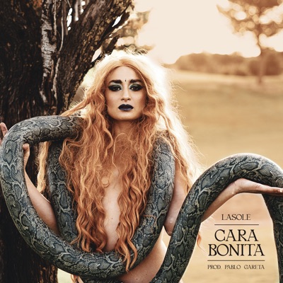 Cara Bonita - Single