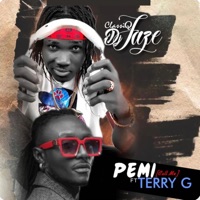 Pemi (Pitched) - Single - ClassiQDjFAZE