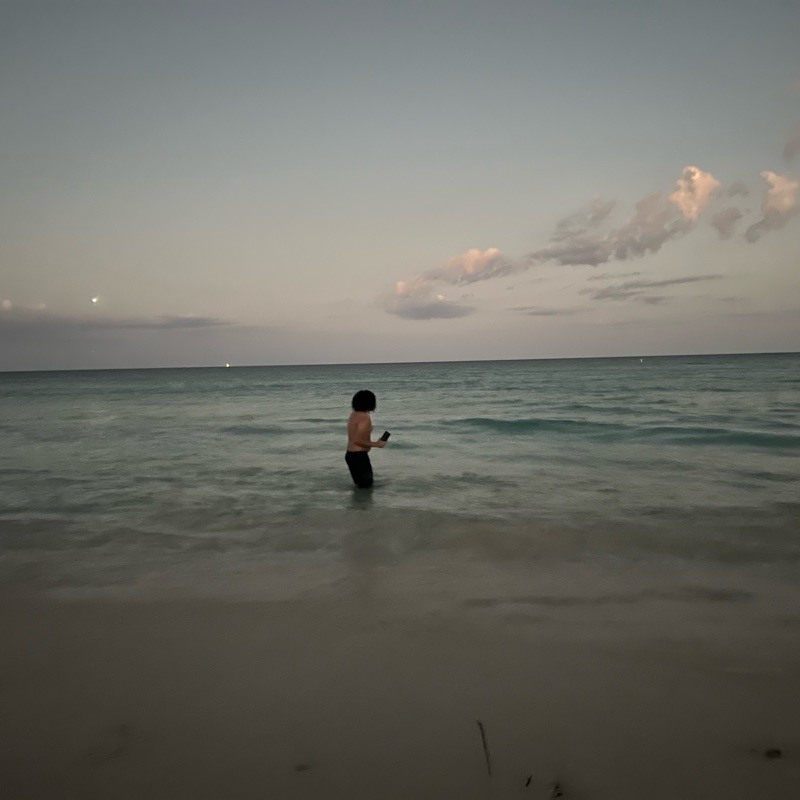 Lil Swervo Jr. - Savior (feat. Beowulf)