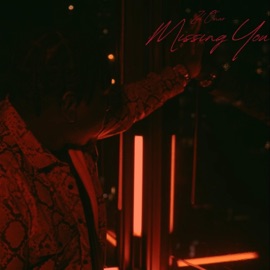 Missing You Zel Omar