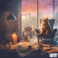 Best We Can - Single - Joakim Karud