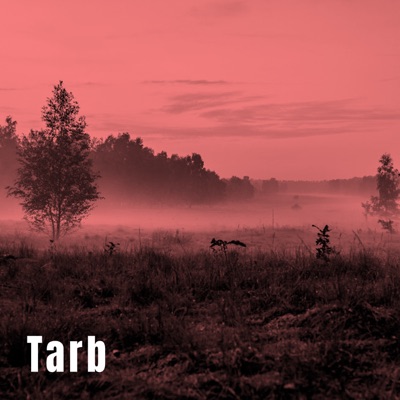 Cheikh Aymen - Ya Tatem