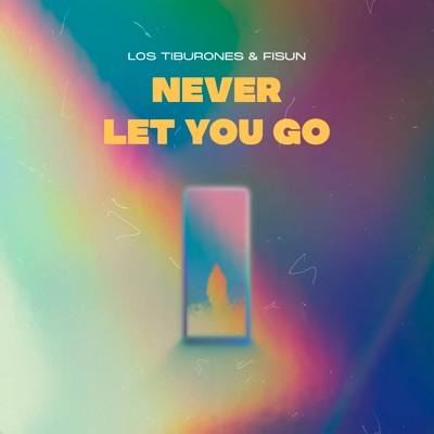 Never Let You Go - Single
