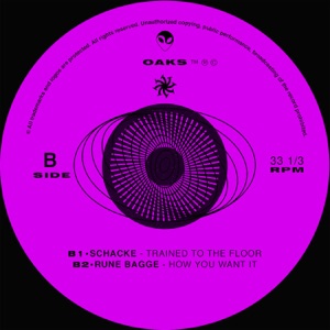 Feeding the Chaos - Single