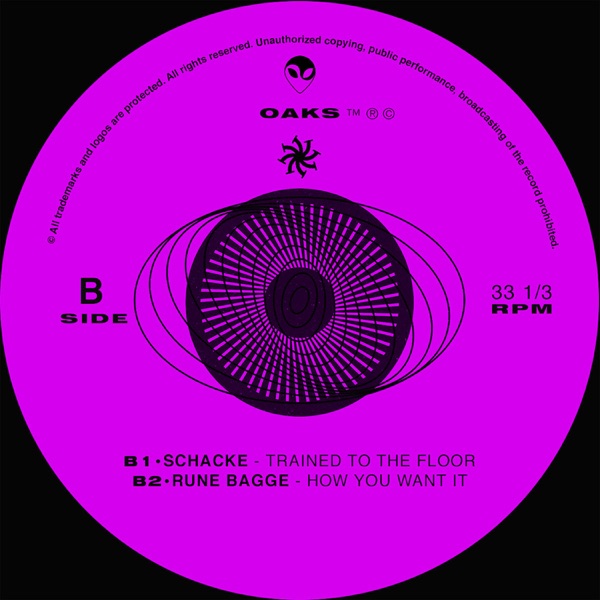 Feeding the Chaos - Single