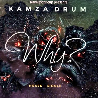 Why (feat. Kamza Drum) - Single