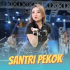 Santri Pekok - Single