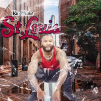 St. Louis (Radio Edit) - Single - Rio Flame