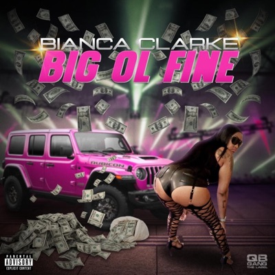 Big Ol Fine - Single