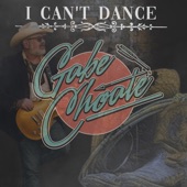 I Cant Dance artwork