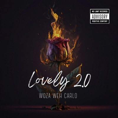 Lovely 2.0 (Bootleg) - Single