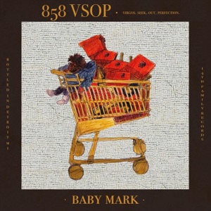 858 V.S.O.P.