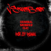 Criminal Minded (feat. Fox Street Fury) - Single - VStheBest215