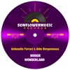 Boogie Wonderland (Antonello Ferrari & Aldo Bergamasco Club Mix) cover art