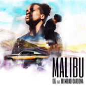 MALIBU (feat. Trinidad Cardona) artwork