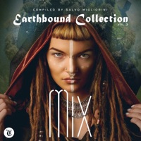 Earthbound Collection 3 (DJ Mix) - Salvo Migliorini