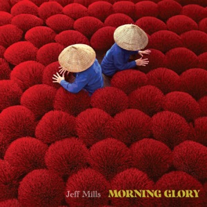 Morning Glory - Single