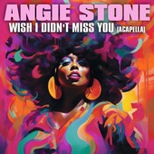 Angie Stone Wish I Didn't Miss You (Re-Recorded) [Acapella] artwork