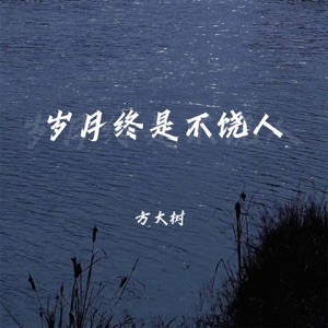 岁月终是不饶人 - Single