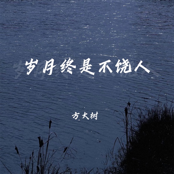 岁月终是不饶人 - Single