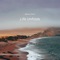 Life Unfolds - Nekane Silver lyrics