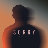 Sorry artwork