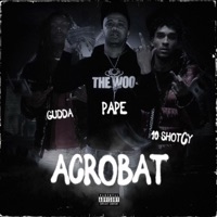 Acrobat (feat. Paid Pape & Gudda) - Single - 10ShotCy