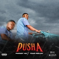 Pusha (feat. Tsar Peejay) - Single - Pwiddy HD