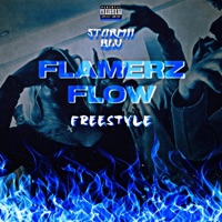 Flamerz Flow Freestyle - Single - Stormii Blu