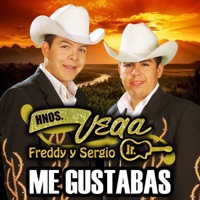 Me Gustabas - Single - Hermanos Vega Jr.