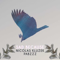 Sad Because - Single - Nicolas Kluzek & Pabzzz