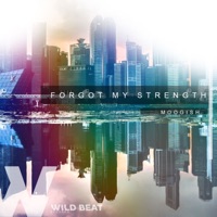 Forgot My Strength - Single - Moogish