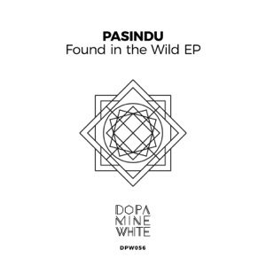 Found in the Wild - Single