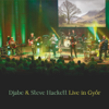 Live In Győr - Djabe & Steve Hackett