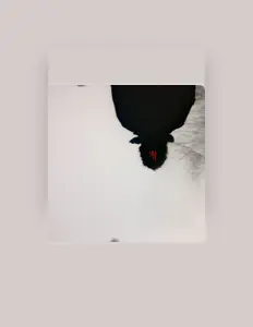 Dengarkan Voi, tonton video musik, baca bio, lihat tanggal tur & lainnya!