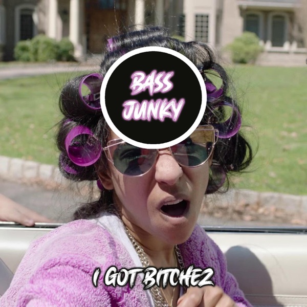 I Got Bitchez (feat. Bass Junky) [Radio Edit]