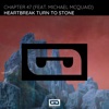 Heartbreak Turn to Stone (feat. Michael McQuaid) - Single