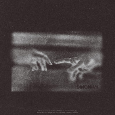 SINONIMI - Single