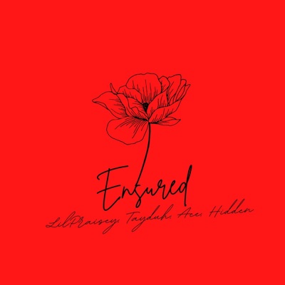 Ensured (feat. LilPraisey, NoAce & Hidden) - Single