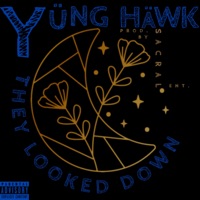 They Looked Down - Yung Hawk