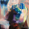 Fortify - Nubya Garcia