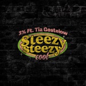 Sleezy Steezy Cool artwork