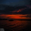 July Days - Single