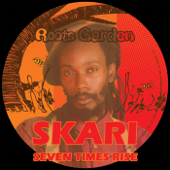 Seven Times Rise (Vocal Mix) - Skari