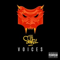 Voices - Single - Split1