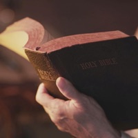 In That Bible of Mercy - Single - Fr. Maximilian M. Dean