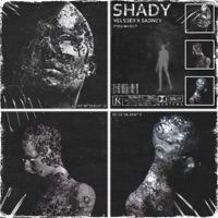 SHADY (feat. SADNEY) - Single - Velsser